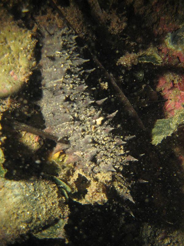 2009-09-11 22-50-41S.JPG